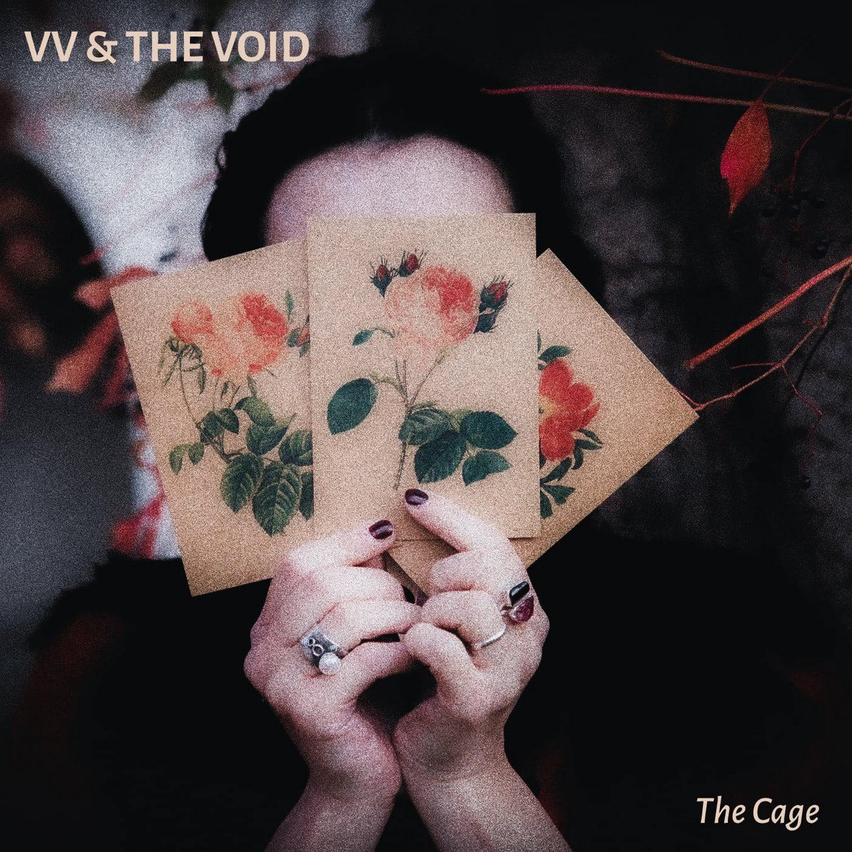 vv-the-void-the cage